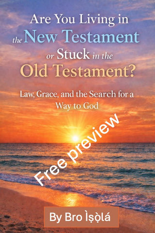 Are You Living In The New Testament - FREE preview (100% discount).